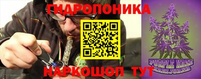 сатива Уссурийск