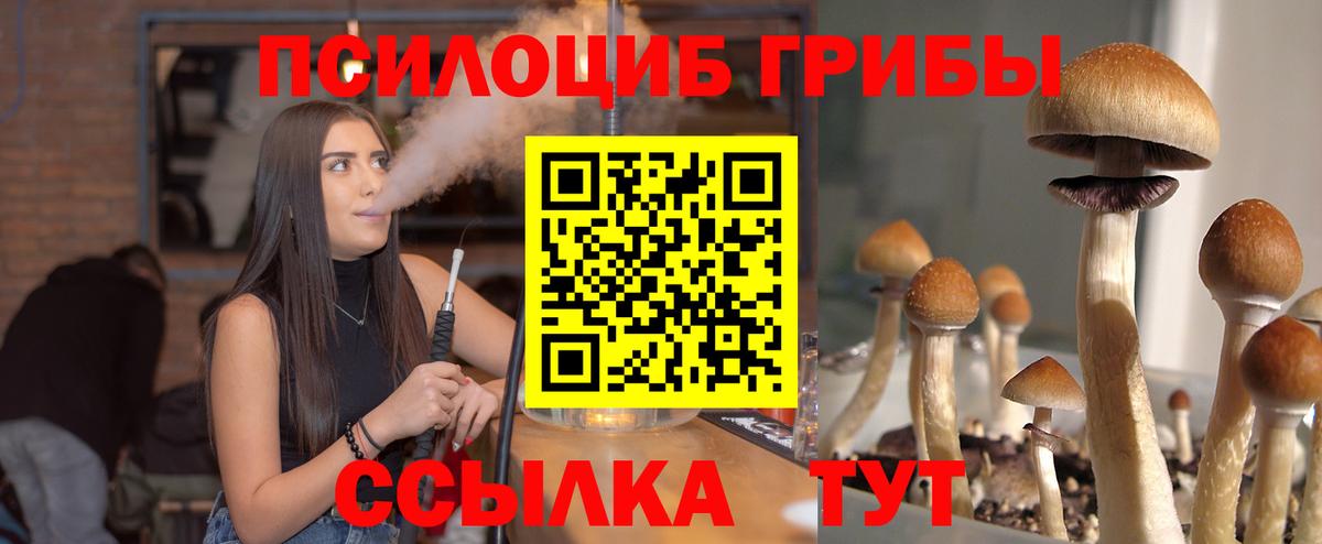 купить   Вход с VPN  Великие Луки  Галлюциногенные грибы Psilocybine cubensis 
